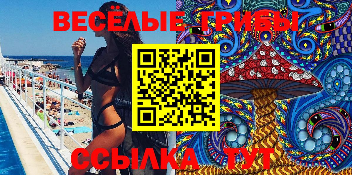 Галлюциногенные грибы Cubensis Тимашёвск