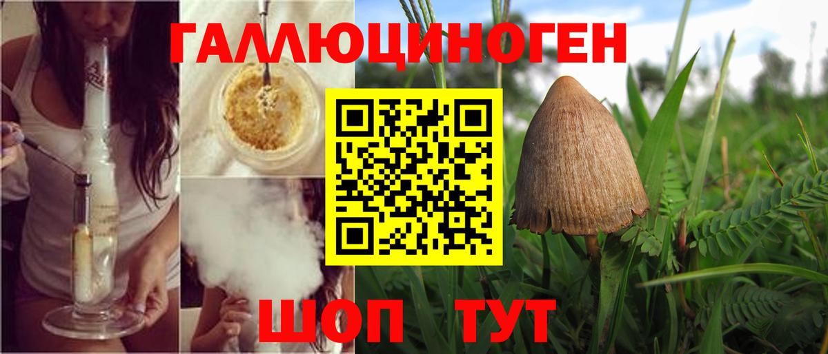 Тимашёвск  Вход с VPN  Кокаин  A PVP СК   ГАШ  Купить  МАРИХУАНА  МЕФ   ГАШИШ 